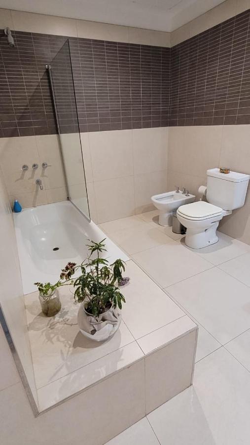 Vivaterra Apartments - San Telmo Buenos Aires Zewnętrze zdjęcie